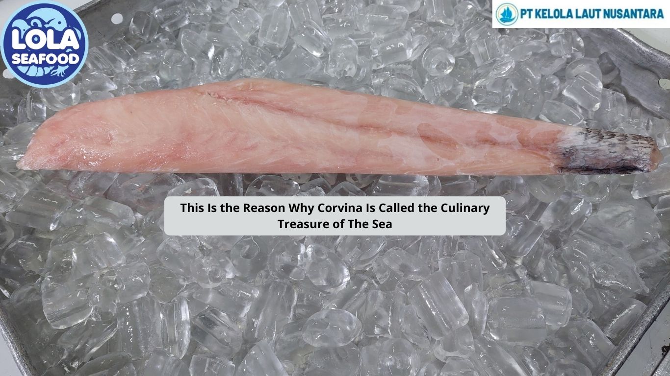 This Is the Reason Why Corvina Is Called the Culinary Treasure of The Sea